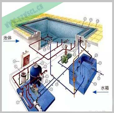 泳池水处理系统